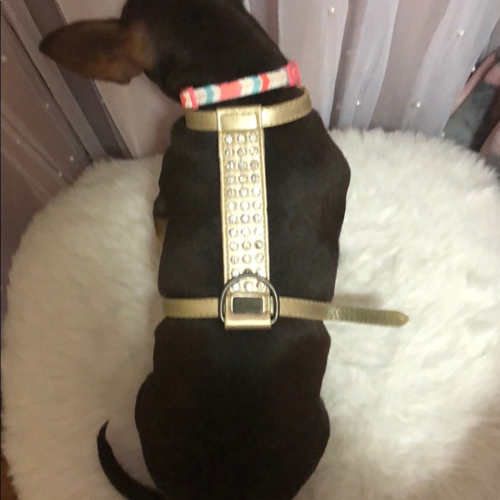 harness - Picture 5 of 5